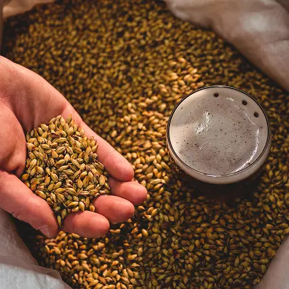 Amilasa en la producci&oacute;n de cerveza, descompone almidones en bebidas vegetales y reducci&oacute;n de tiempo