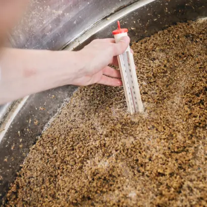 Elaboración de cerveza con Proteasas