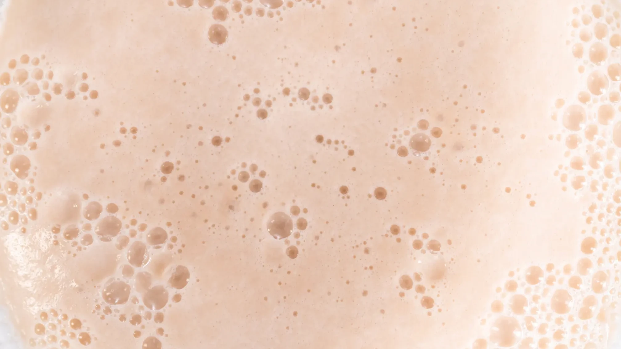 La hidrólisis proteica