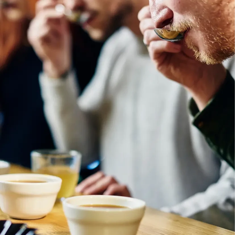 Mejor digestibilidad