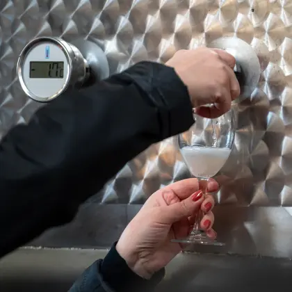 aumento de azucares en la fermentaci&oacute;n de mosto