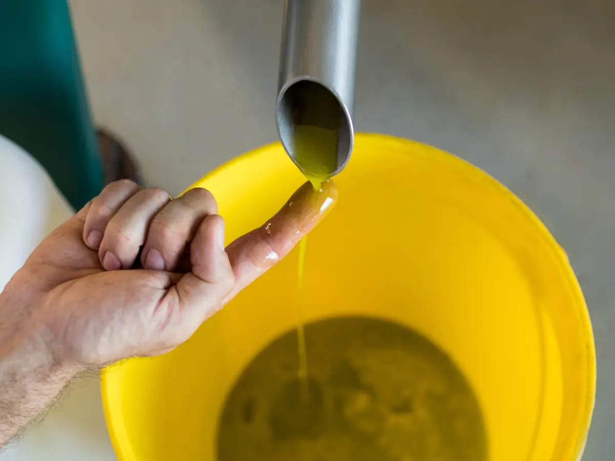 Lipasas en la modificaci&oacute;n de grasas y aceites