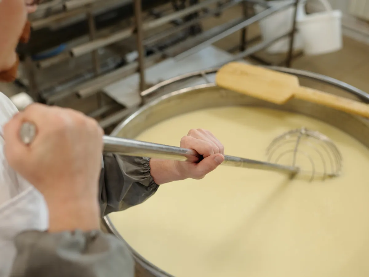 Preparaciones Enzim&aacute;ticas